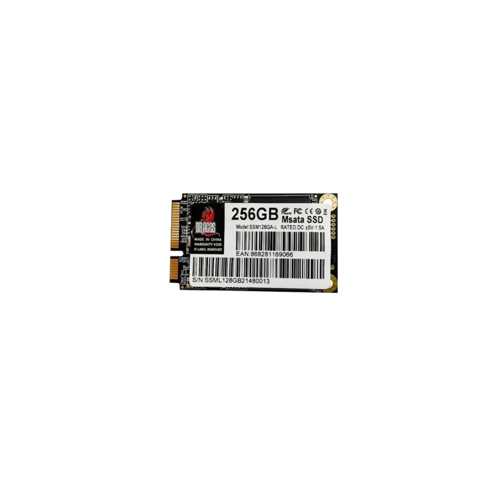 Dragos SOLİDARİTY X MSATA 520/400MBS 256GB SSD