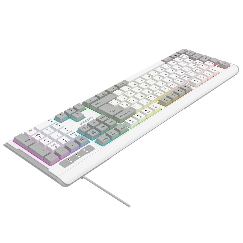 Everest KB-74 Beyaz/Gri USB Rainbow Aydınlatmalı Q Membrane