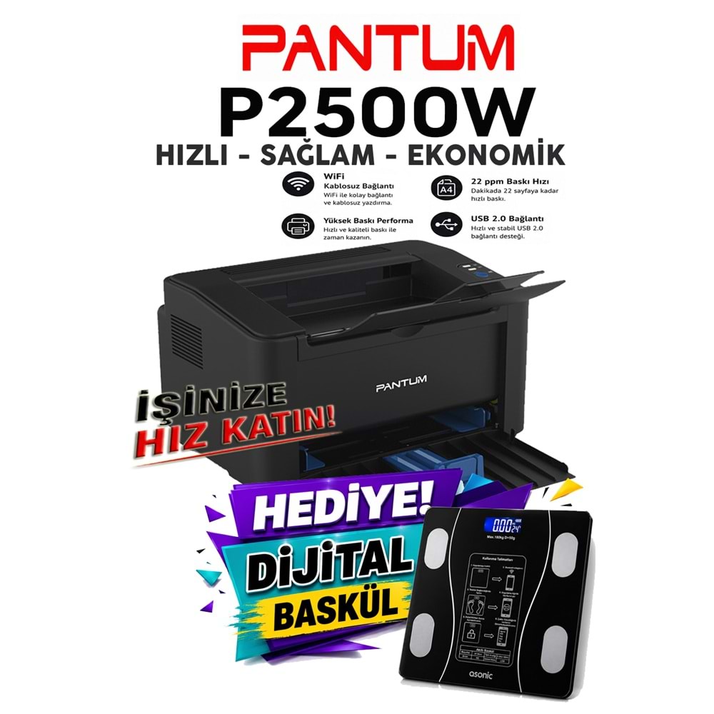 Pantum P2500W Wi-Fi Mono Lazer Yazıcı