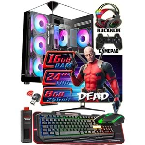 WarboX DEAD 24