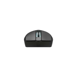 Lecoo MS120 RGB Led Aydınlatmalı USB Kablolu 2400DPI 4 Tuşlu Gaming Optik Mouse Siyah