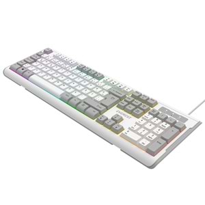 Everest KB-74 Beyaz/Gri USB Rainbow Aydınlatmalı Q Membrane