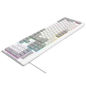 Everest KB-74 Beyaz/Gri USB Rainbow Aydınlatmalı Q Membrane