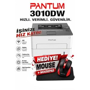 Pantum P3010DW Wi-Fi Lazer Yazıcı