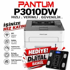 Pantum P3010 DW Mono Lazer Yazıcı