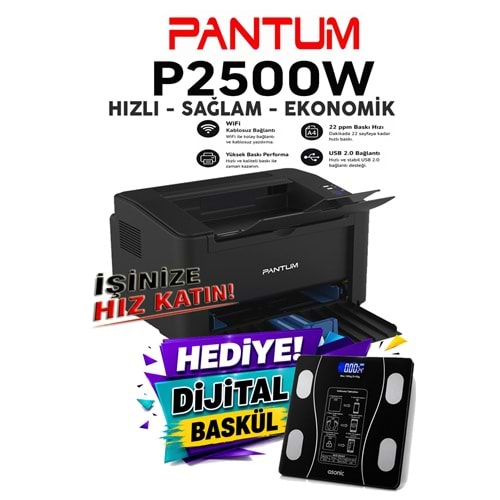 Pantum P2500W Wi-Fi Mono Lazer Yazıcı
