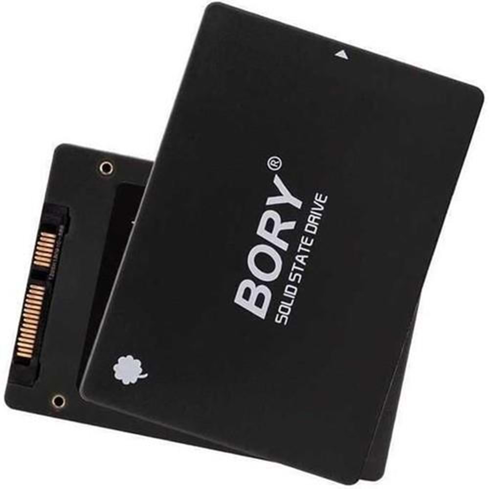 Bory R500-C256G 256Gb 550/510 MB/s Sata 3 SSD