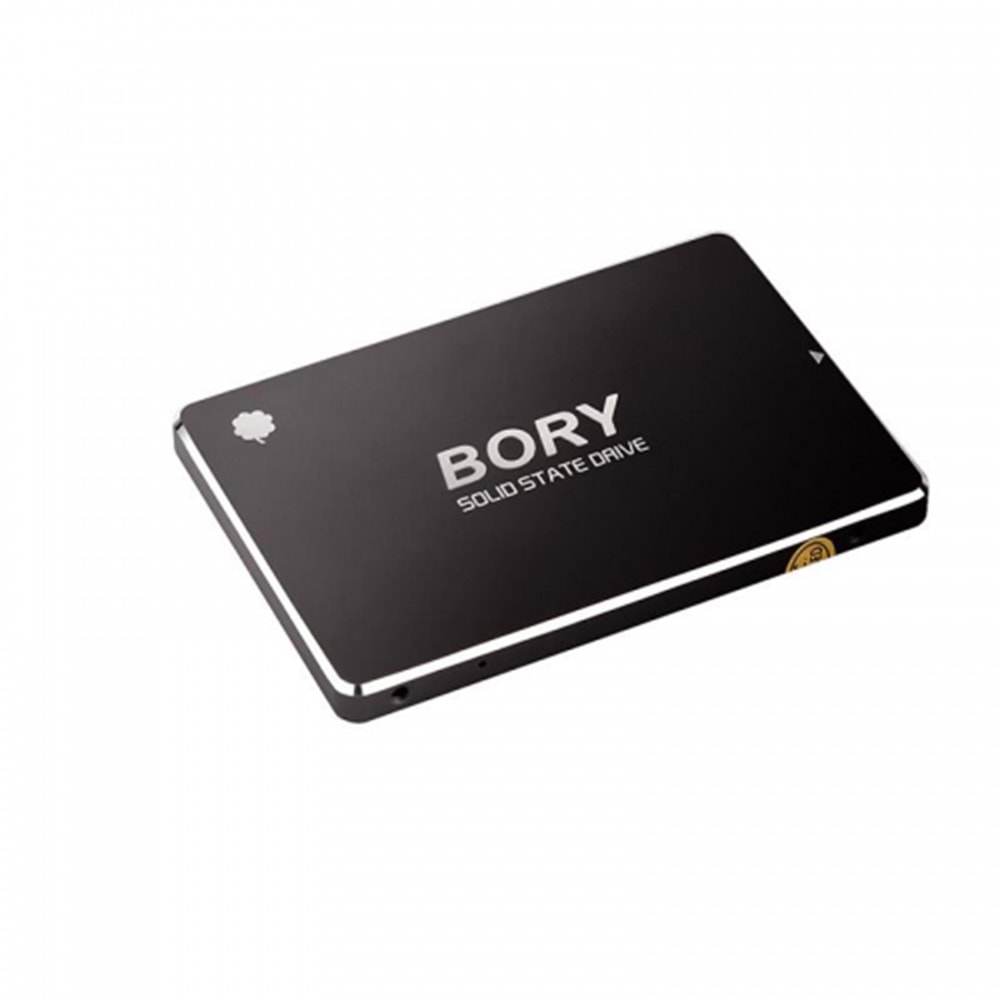 Bory R500-C256G 256Gb 550/510 MB/s Sata 3 SSD